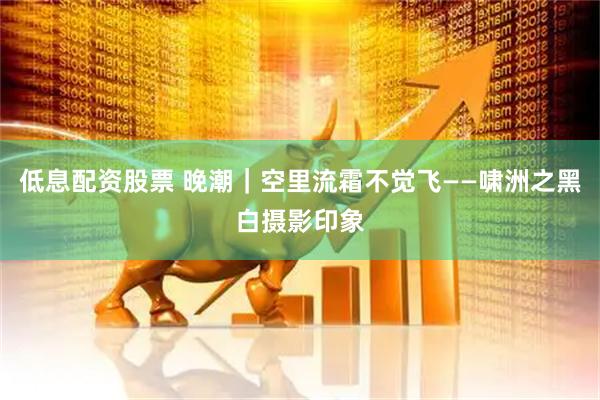 低息配资股票 晚潮｜空里流霜不觉飞——啸洲之黑白摄影印象