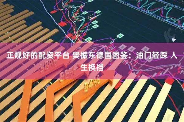正规好的配资平台 樊振东德国图鉴：油门轻踩 人生换挡