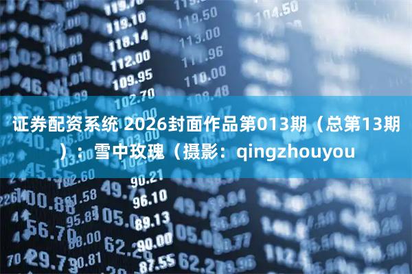 证券配资系统 2026封面作品第013期（总第13期）：雪中玫瑰（摄影：qingzhouyou