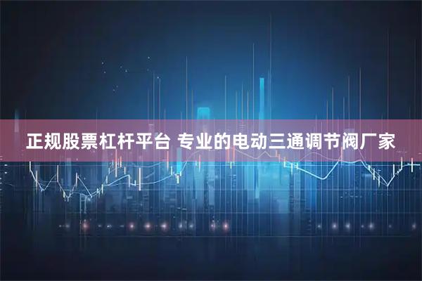 正规股票杠杆平台 专业的电动三通调节阀厂家