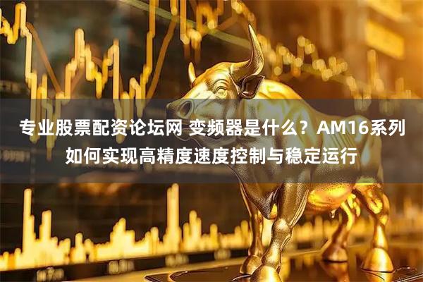 专业股票配资论坛网 变频器是什么？AM16系列如何实现高精度速度控制与稳定运行