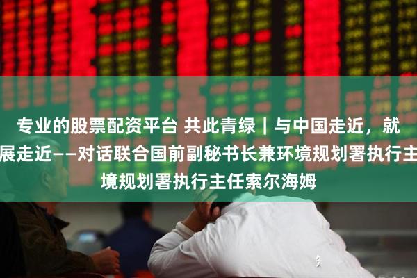 专业的股票配资平台 共此青绿｜与中国走近，就是与绿色发展走近——对话联合国前副秘书长兼环境规划署执行主任索尔海姆